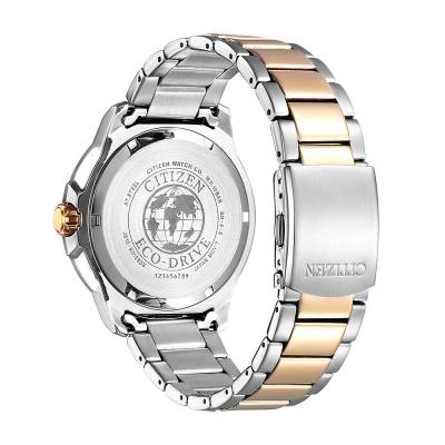 Citizen Eco-drive με Δίχρωμο Μπρασελέ AW1524-84E