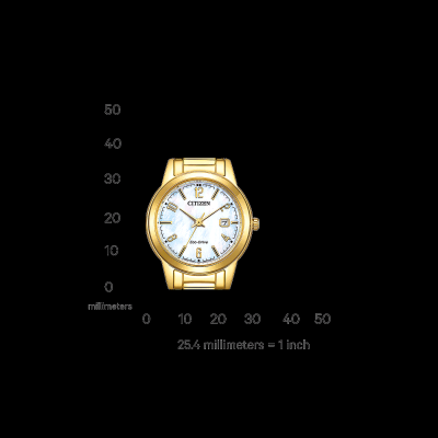 Γυναικείο Ρολόι CITIZEN Elegance με Χρυσό Μπρασελέ FE1242-78D